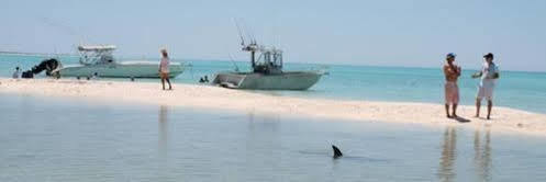 Dirk Hartog Island Eco Lodge เดนัม ภายนอก รูปภาพ